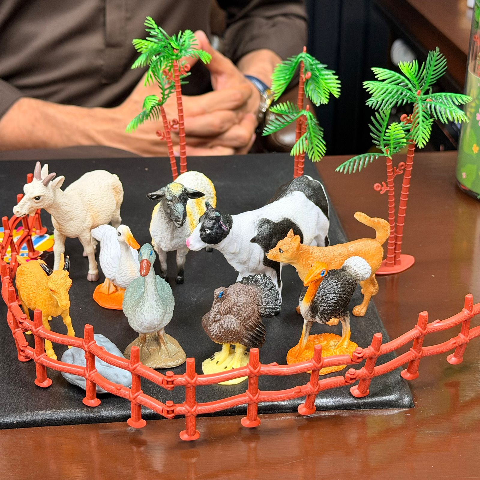 21Pcs Kids Premium Farm Animals With Storage Box